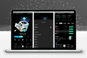 最新多语言MyOkex海外交易所源码/币币交易+秒合约+永续合约+闪兑+C2C交易+币币申购+后端php-百易源码网-免费源码,棋牌源码,源码交易,交易平台,网站源码,源码下载