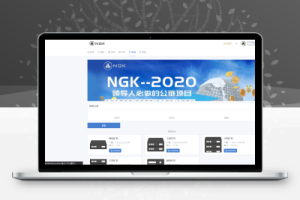 NGK区块链源码/NGK矿机挖矿源码/NGK公链程序/数字钱包点对点交易模式/算力-百易源码网-免费源码,棋牌源码,源码交易,交易平台,网站源码,源码下载