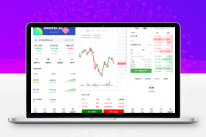 BBuCoin交易所源码（币币、合约、期权+平台币发行，行情控制+完整搭建教程）-百易源码网-免费源码,棋牌源码,源码交易,交易平台,网站源码,源码下载