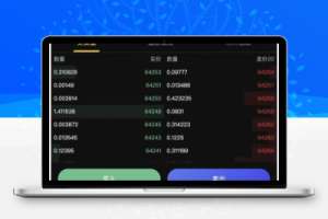 BitWell多语言交易所源码-OTC+永续合约+期权交易+币币交易+秒合约交易+申购+风控+代理渠道商+后端php-百易源码网-免费源码,棋牌源码,源码交易,交易平台,网站源码,源码下载