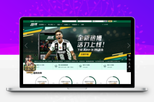 NG游戏接口厂商多版前端NET版本综合盘系统源码,NG接口开户-百易源码网-免费源码,棋牌源码,源码交易,交易平台,网站源码,源码下载